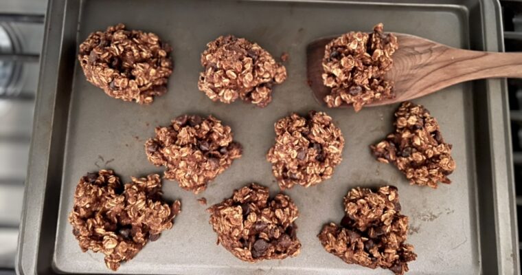 Vegan Oatmeal Chocolate Chip Cookies