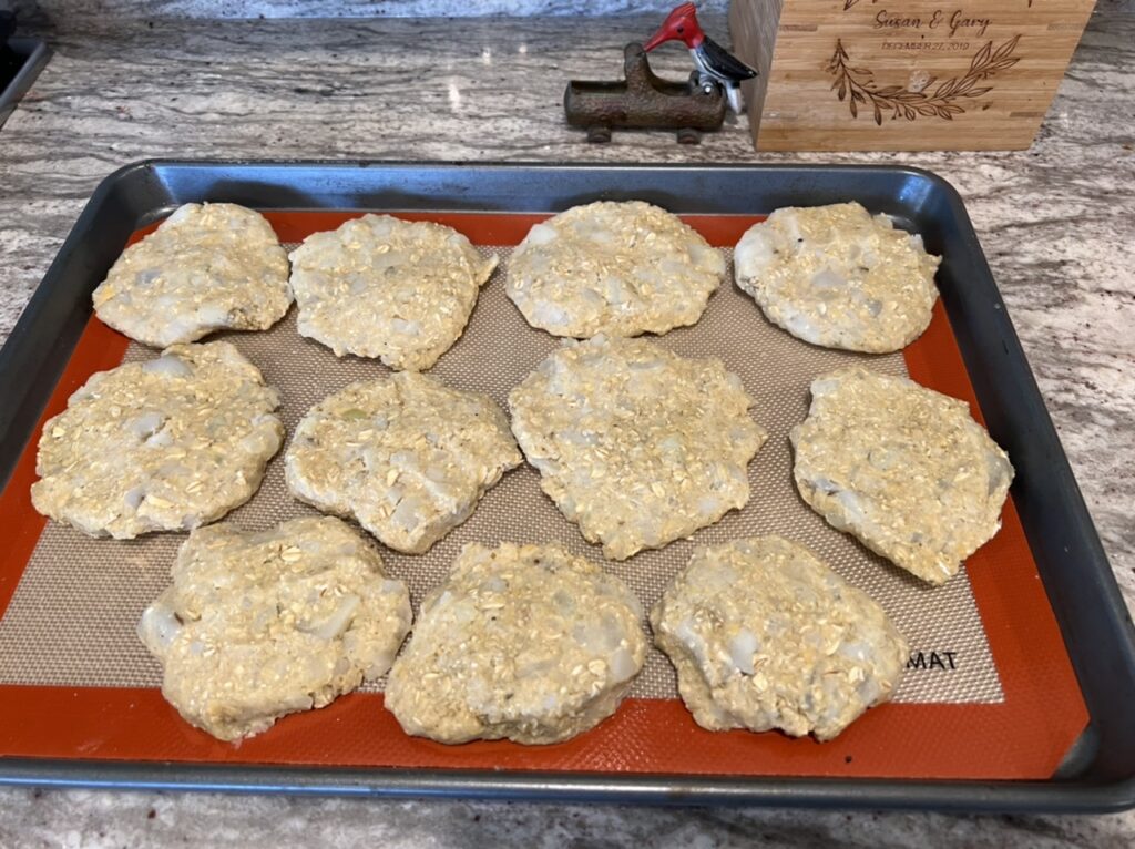 Vegan Chick Burgers